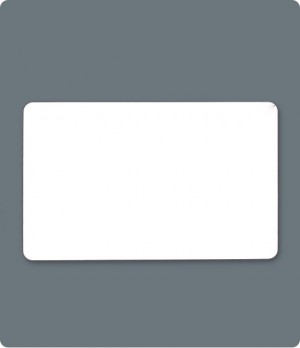 National Security and Surveillance