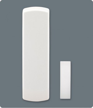 National Security and Surveillance