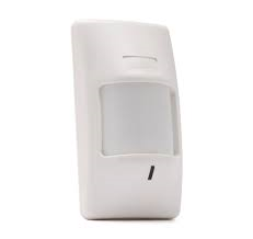 National Security and Surveillance