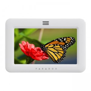 National Security and Surveillance