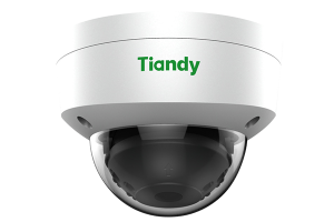 National Security and Surveillance