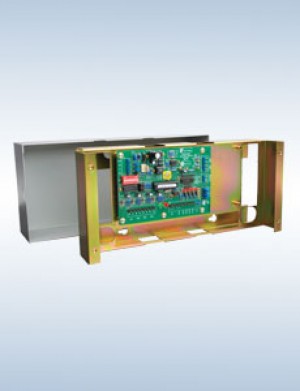 National Security and Surveillance