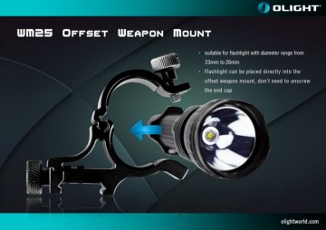 National Security and Surveillance