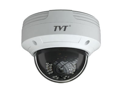 National Security and Surveillance