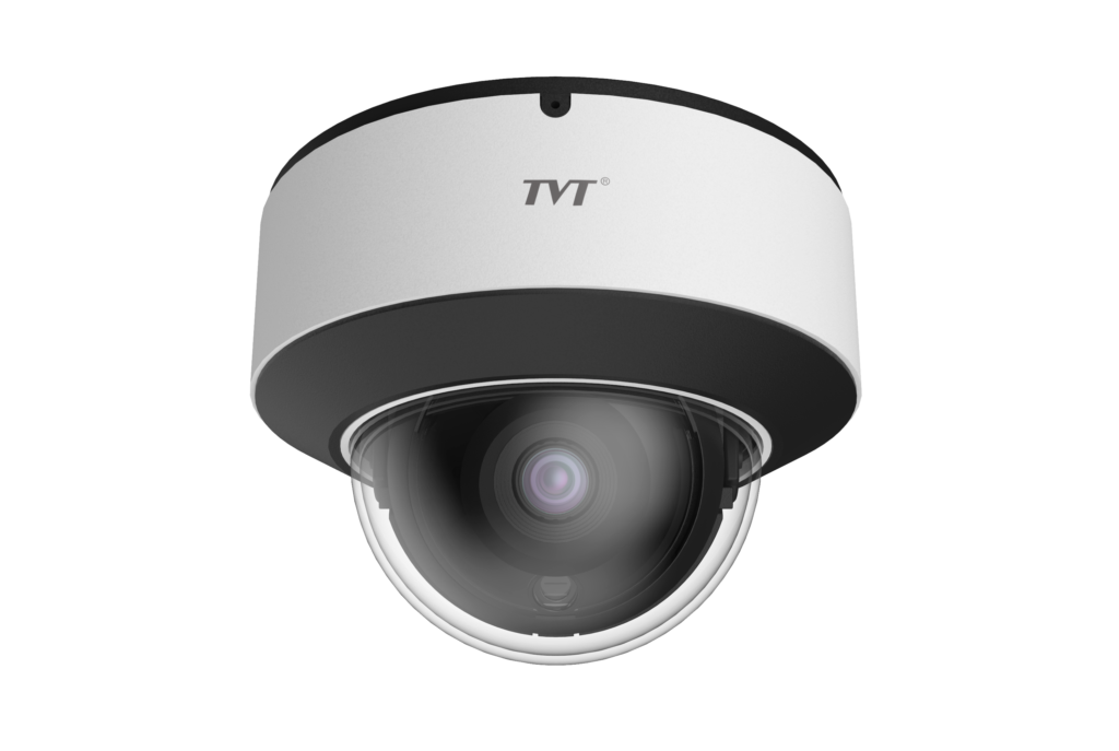 National Security and Surveillance