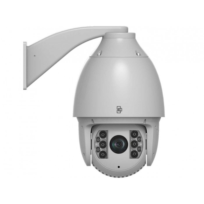 National Security and Surveillance