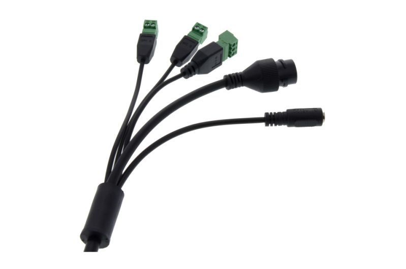 National Security and Surveillance